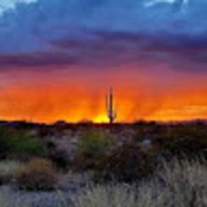 Meet your Posher, Carl